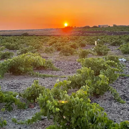 Zana's Villa-sandra דירה *