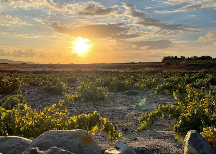 Zana's Villa-sandra * Akrotírion