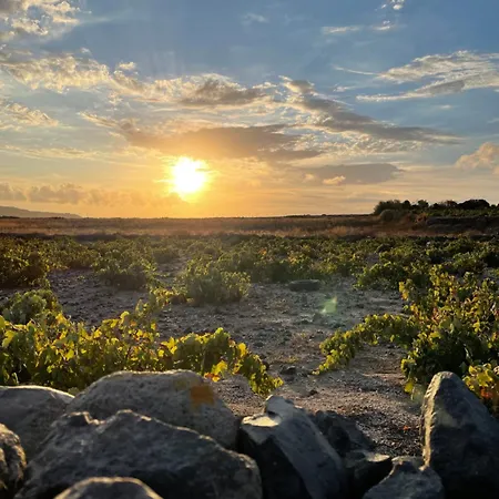 Zana's Villa-sandra * Akrotiri (Santorini)