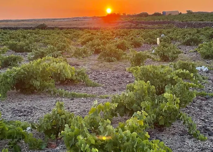 Zana's Villa-sandra アパート *