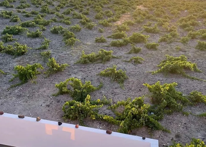 Lejlighed Zana's Villa-sandra Akrotírion